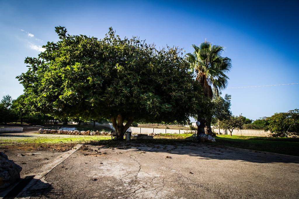 Appartement I Giardini Dell'Agave à Torre Santa Sabina Extérieur photo