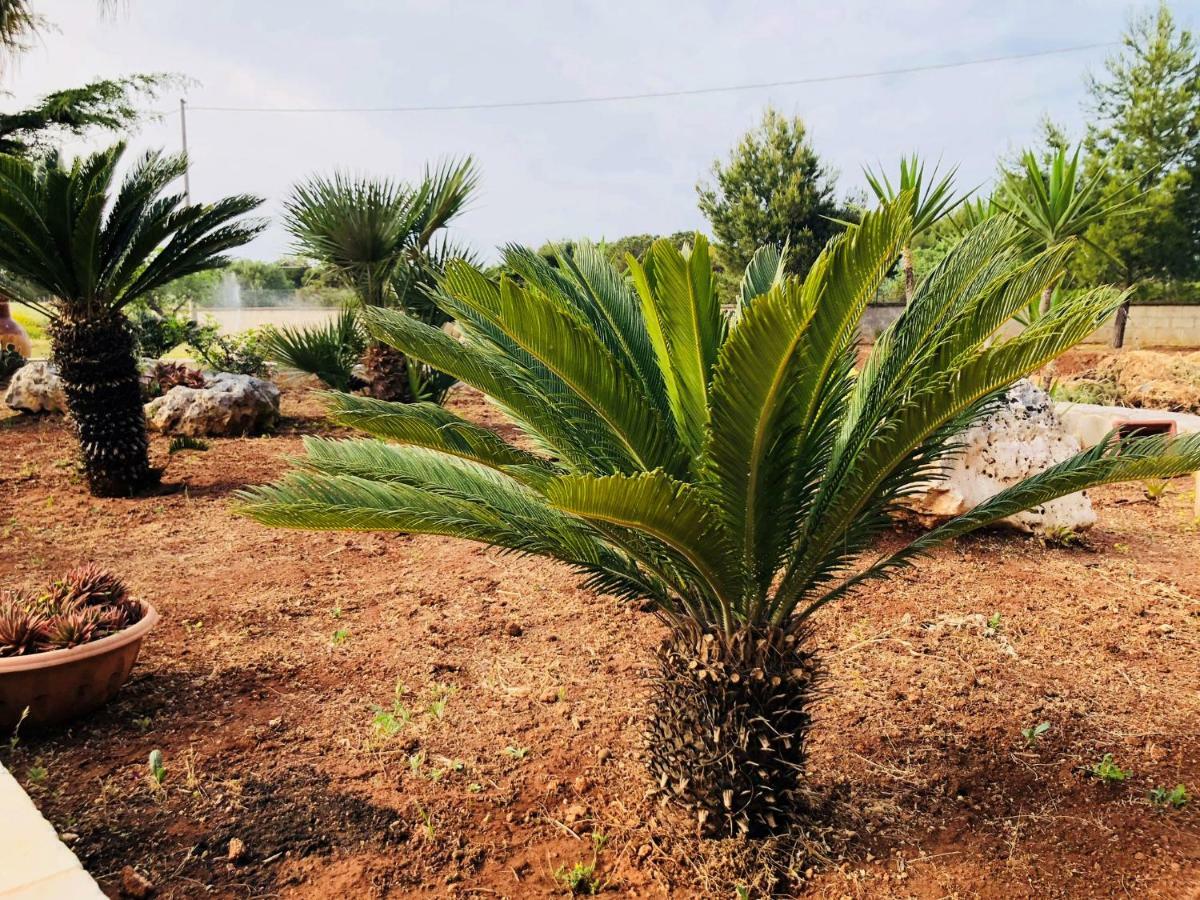 Appartement I Giardini Dell'Agave à Torre Santa Sabina Extérieur photo